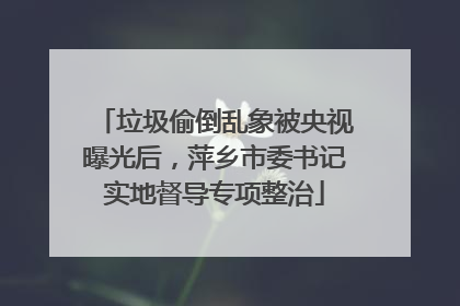 垃圾偷倒乱象被央视曝光后，萍乡市委书记实地督导专项整治