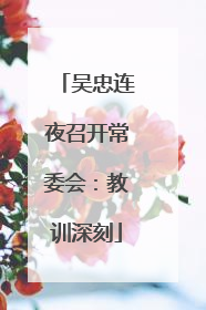 吴忠连夜召开常委会：教训深刻