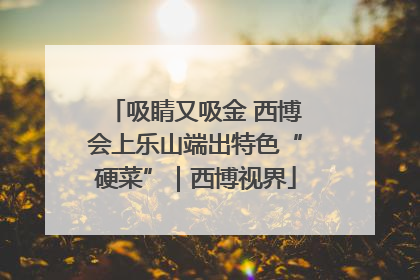 吸睛又吸金 西博会上乐山端出特色“硬菜”｜西博视界