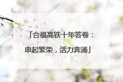 合福高铁十年答卷：串起繁荣，活力奔涌
