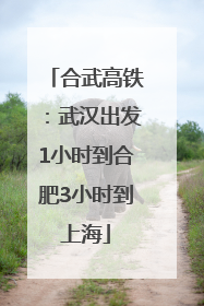 合武高铁：武汉出发1小时到合肥3小时到上海