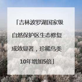 吉林波罗湖国家级自然保护区生态修复成效显著，珍稀鸟类10年增加5倍