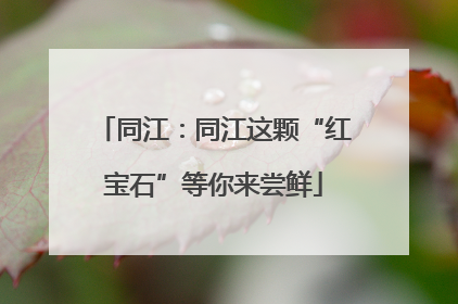 同江：同江这颗“红宝石”等你来尝鲜