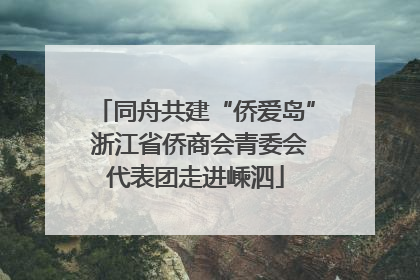 同舟共建“侨爱岛” 浙江省侨商会青委会代表团走进嵊泗