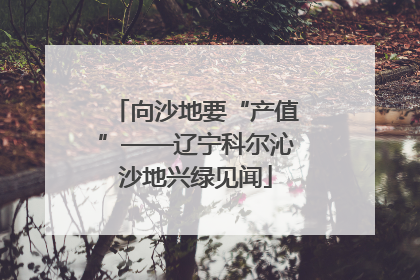 向沙地要“产值”——辽宁科尔沁沙地兴绿见闻