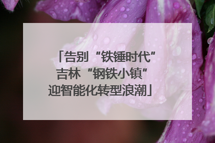 告别“铁锤时代” 吉林“钢铁小镇”迎智能化转型浪潮