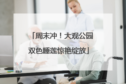 周末冲！大观公园双色睡莲惊艳绽放