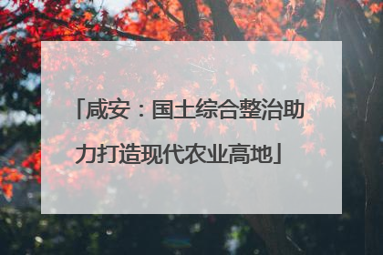 咸安：国土综合整治助力打造现代农业高地
