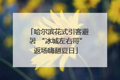 哈尔滨花式引客避暑 “冰城左右哥”返场嗨翻夏日
