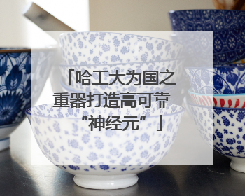 哈工大为国之重器打造高可靠“神经元”