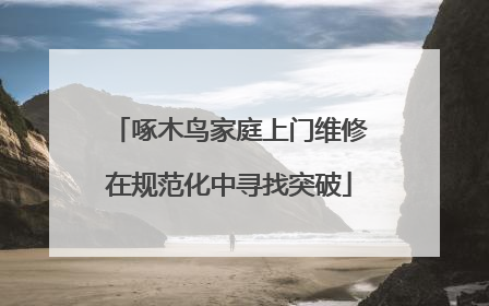 啄木鸟家庭上门维修在规范化中寻找突破