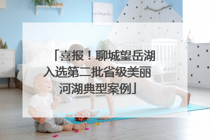 喜报！聊城望岳湖入选第二批省级美丽河湖典型案例