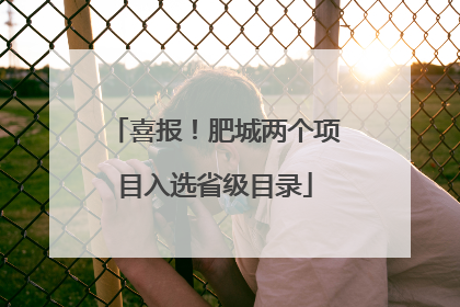 喜报！肥城两个项目入选省级目录
