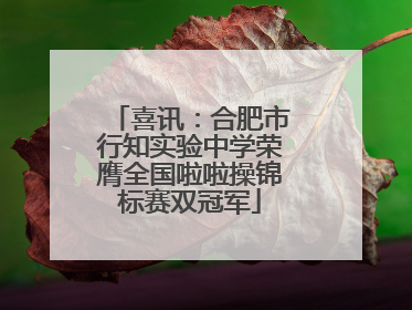 喜讯：合肥市行知实验中学荣膺全国啦啦操锦标赛双冠军