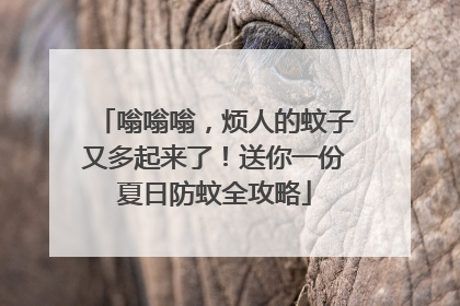 嗡嗡嗡，烦人的蚊子又多起来了！送你一份夏日防蚊全攻略