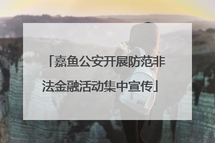 嘉鱼公安开展防范非法金融活动集中宣传