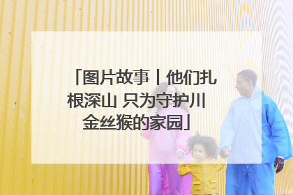 图片故事丨他们扎根深山 只为守护川金丝猴的家园