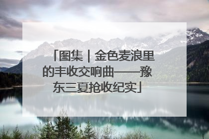 图集｜金色麦浪里的丰收交响曲——豫东三夏抢收纪实