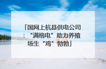 国网上杭县供电公司：“满格电”助力养殖场生“鸡”勃勃