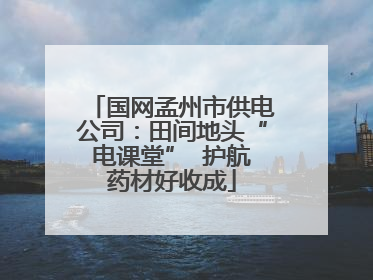 国网孟州市供电公司：田间地头“电课堂”  护航药材好收成