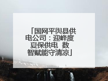 国网平舆县供电公司：迎峰度夏保供电  数智赋能守清凉