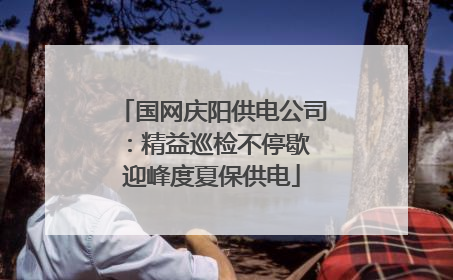 国网庆阳供电公司：精益巡检不停歇 迎峰度夏保供电