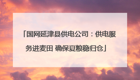 国网延津县供电公司：供电服务进麦田 确保夏粮稳归仓