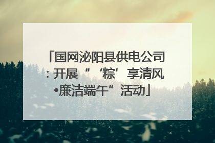 国网泌阳县供电公司：开展“‘粽’享清风 •廉洁端午”活动