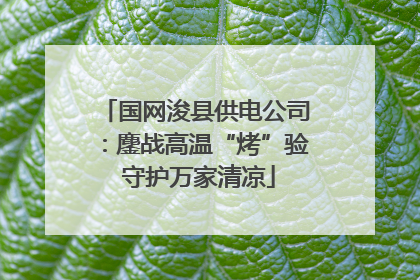国网浚县供电公司：鏖战高温“烤”验 守护万家清凉