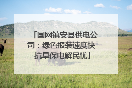 国网镇安县供电公司：绿色报装速度快 抗旱保电解民忧