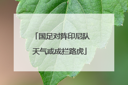 国足对阵印尼队 天气或成拦路虎