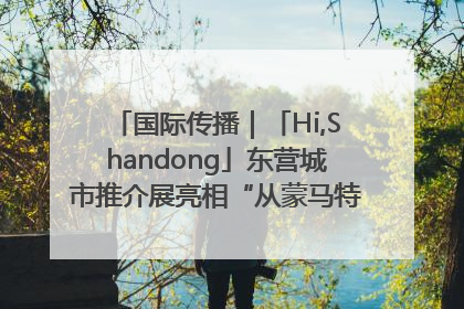 国际传播｜「Hi,Shandong」东营城市推介展亮相“从蒙马特到加里波第”文化节