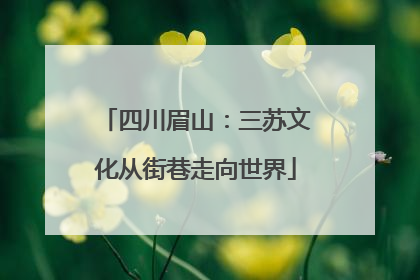 四川眉山：三苏文化从街巷走向世界