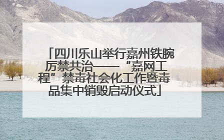四川乐山举行嘉州铁腕 厉禁共治——“嘉网工程”禁毒社会化工作暨毒品集中销毁启动仪式