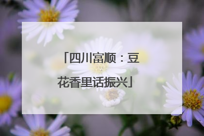四川富顺：豆花香里话振兴