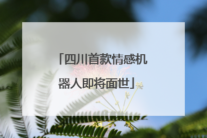 四川首款情感机器人即将面世