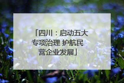 四川：启动五大专项治理 护航民营企业发展