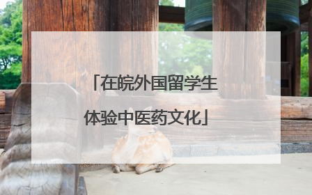 在皖外国留学生体验中医药文化