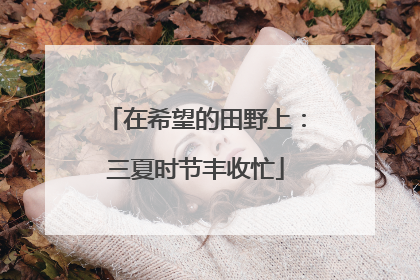 在希望的田野上：三夏时节丰收忙