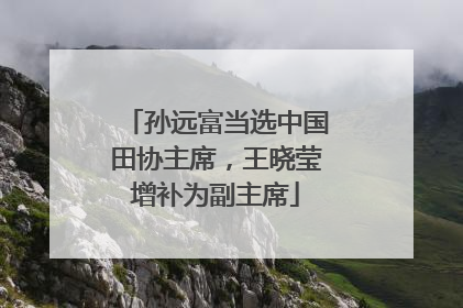 孙远富当选中国田协主席，王晓莹增补为副主席