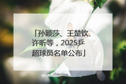 孙颖莎、王楚钦、许昕等，2025乒超球员名单公布
