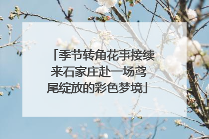 季节转角花事接续 来石家庄赴一场鸢尾绽放的彩色梦境