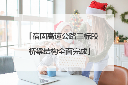 宿固高速公路三标段桥梁结构全面完成