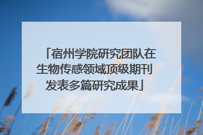 宿州学院研究团队在生物传感领域顶级期刊发表多篇研究成果