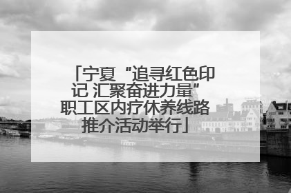 宁夏“追寻红色印记 汇聚奋进力量”职工区内疗休养线路推介活动举行