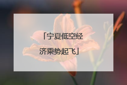 宁夏低空经济乘势起飞