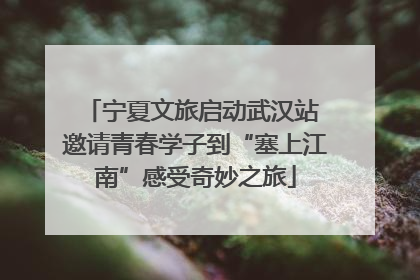 宁夏文旅启动武汉站 邀请青春学子到“塞上江南”感受奇妙之旅