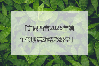 宁夏西吉2025年端午假期活动精彩纷呈