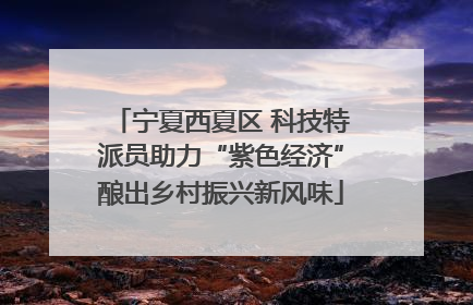 宁夏西夏区 科技特派员助力“紫色经济”酿出乡村振兴新风味