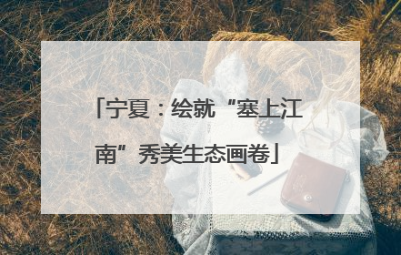 宁夏：绘就“塞上江南”秀美生态画卷
